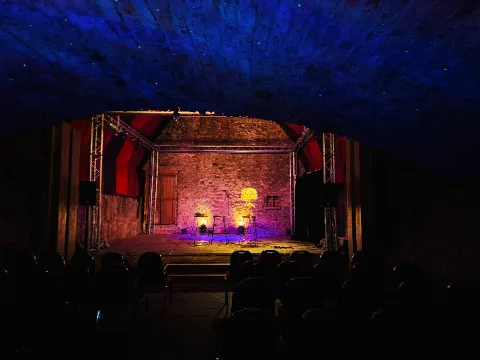 Just The Tonic at The Caves, venue 2